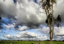 3377体育：12胜2平，曼城历史上各项赛事主场对阵布莱顿未尝败绩.