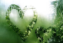 15连胜！换帅之后保持不败：辽宁队最大争冠对手浮出水面弗里克：奥尔莫当然准备好了；希望阿劳霍在我队内.