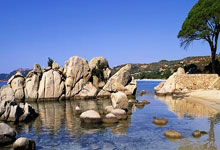 2023年中国保龄球巡回赛北京东城公开赛落幕中国新闻网.